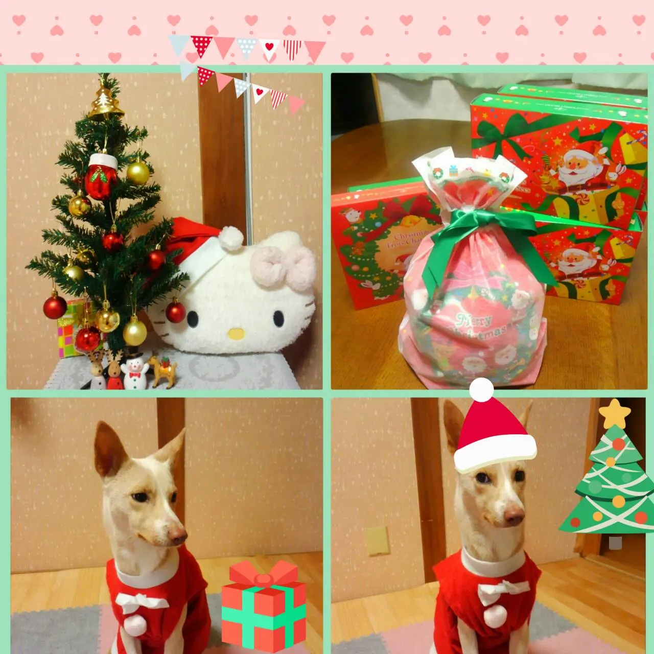 🎅✨MaryChristmas✨🎄(写真2)