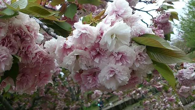 癒しの日♪(写真2)