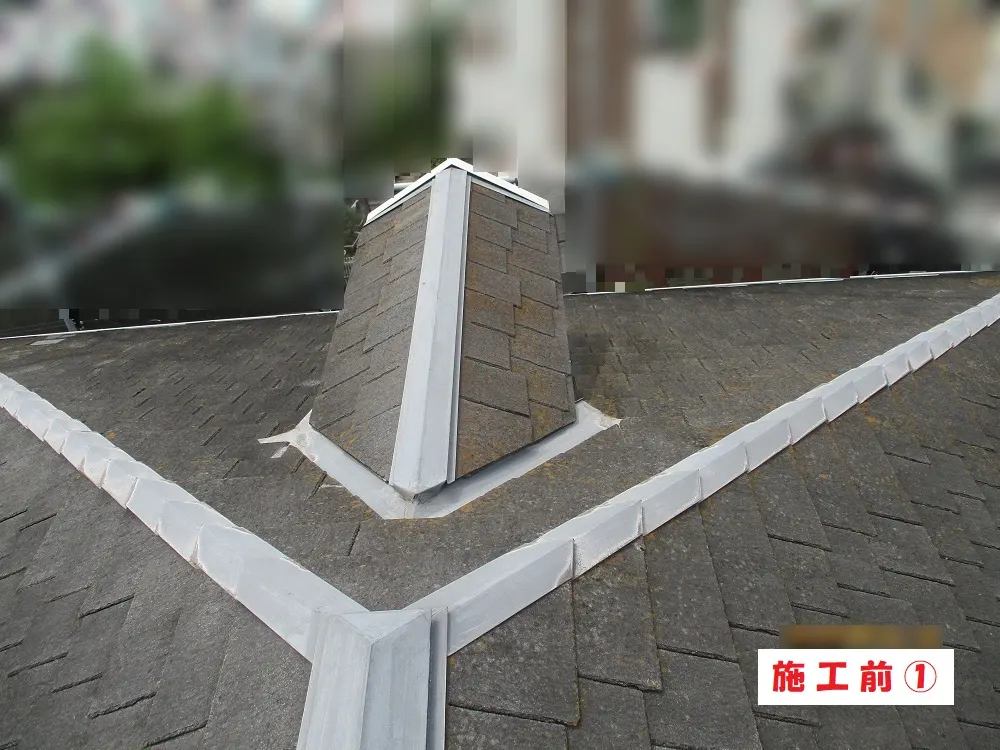 屋根塗装工事－大阪府枚方市 Ｓ様邸②：施工事例143（施工前）