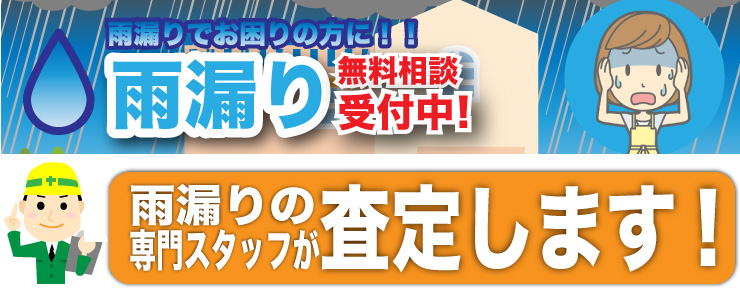 雨漏り専門スタッフが査定に参ります