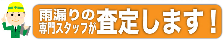 雨漏り専門スタッフが査定に参ります